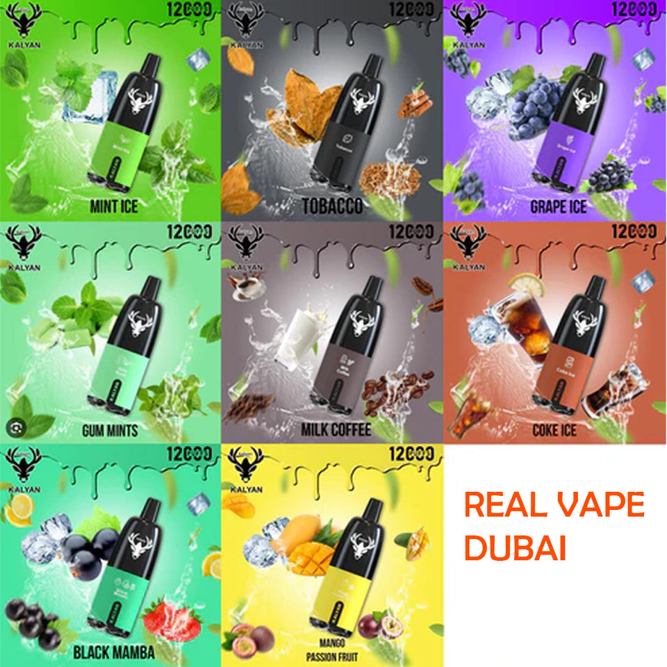 KALYAN 12000 PUFFS Disposable Vape UAE