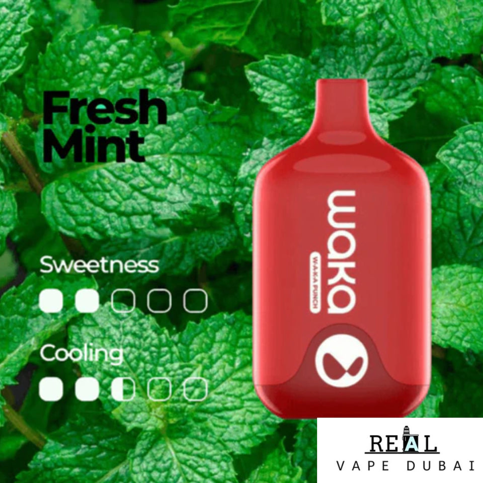 Waka Smash 5500 Puffs Disposable Vape