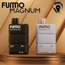 FUMMU MAGNUM 8000 Puffs