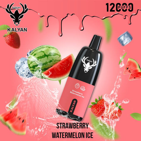KALYAN 12000 PUFFS Disposable Vape UAE