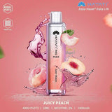 HAYATI PRO MAX 4000 Plus Puffs 20mg Disposable Vape